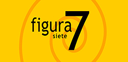Figura 7